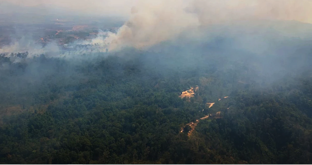 Asap Kebakaran Hutan Kamboja Tembus ke Perbatasan Thailand